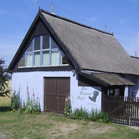 Zum Schwarzen Stiefel- Ferienwohnung Atelierhaus 朗克维茨 外观 照片