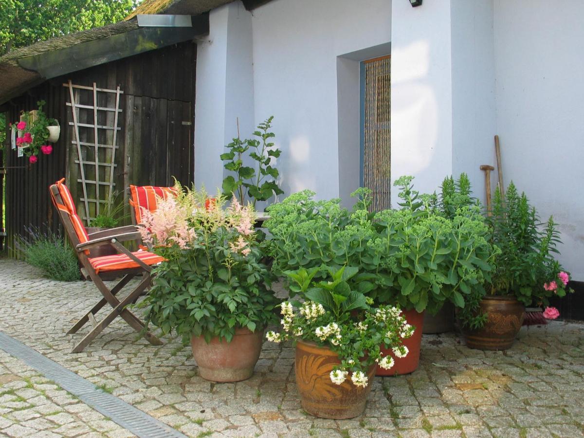 Zum Schwarzen Stiefel- Ferienwohnung Atelierhaus 朗克维茨 外观 照片