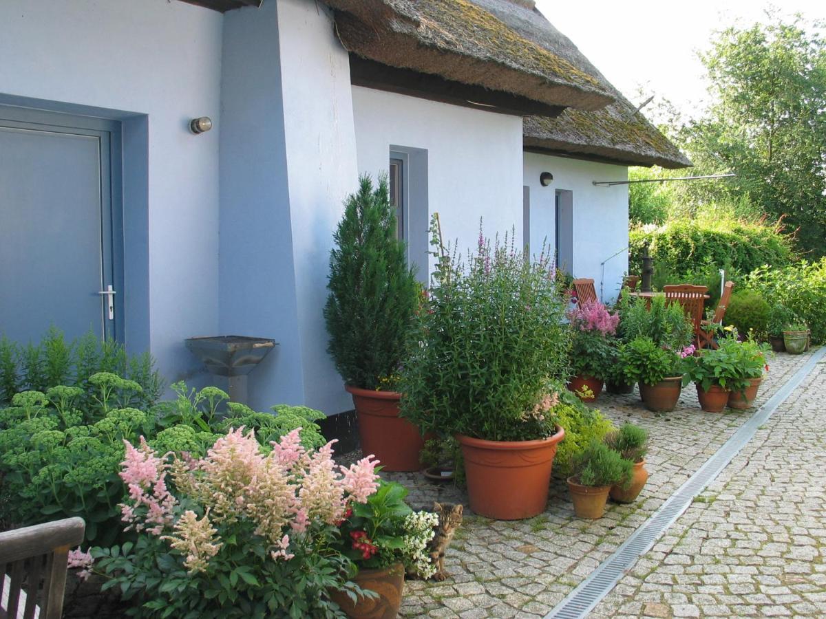 Zum Schwarzen Stiefel- Ferienwohnung Atelierhaus 朗克维茨 外观 照片